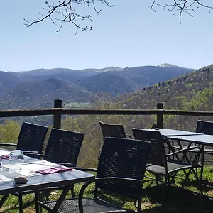 Les Myrtilles Le Bosc (Midi-Pyrenees)